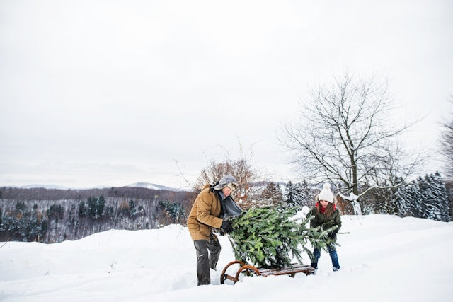 Winter Organization Hacks: Declutter Your Home for a Stress-Free New Year