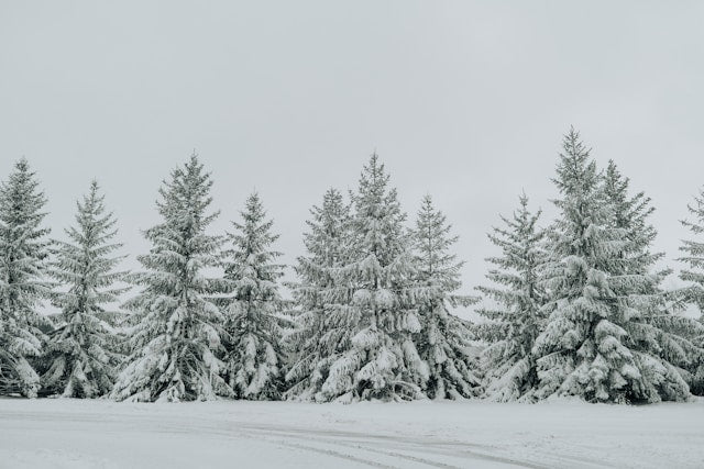 Top 10 Winter Home Accessories to Keep Your Space Cozy and Warm